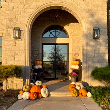 Jumbo Pumpkin (1)