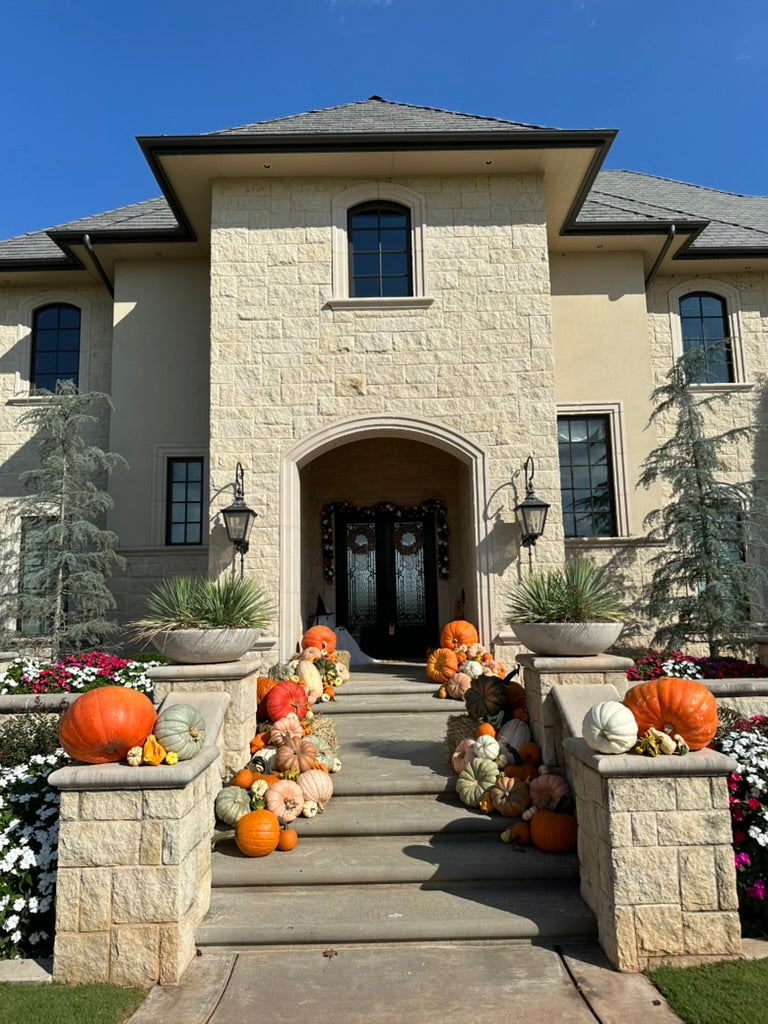 Jumbo Pumpkin (1)