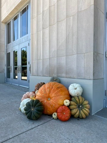 Jumbo Pumpkin (1)