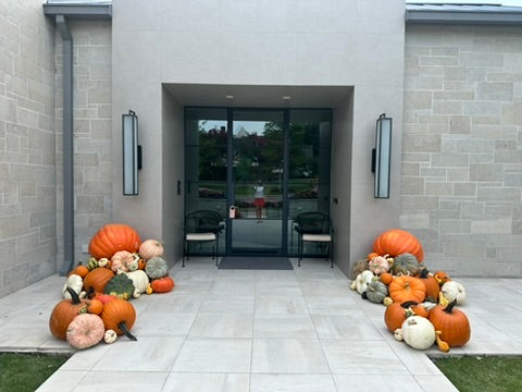Jumbo Pumpkin (1)