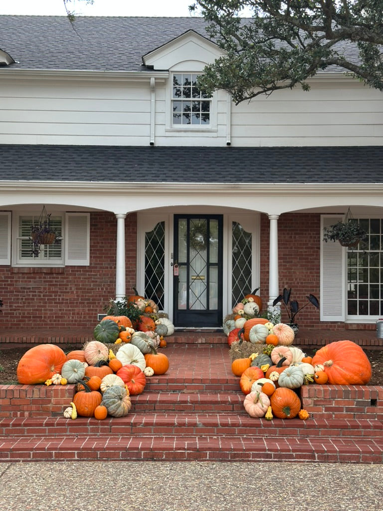 Jumbo Pumpkin (1)