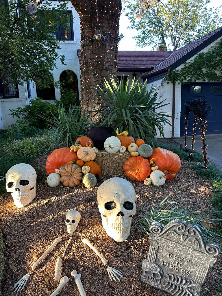 Jumbo Pumpkin (1)