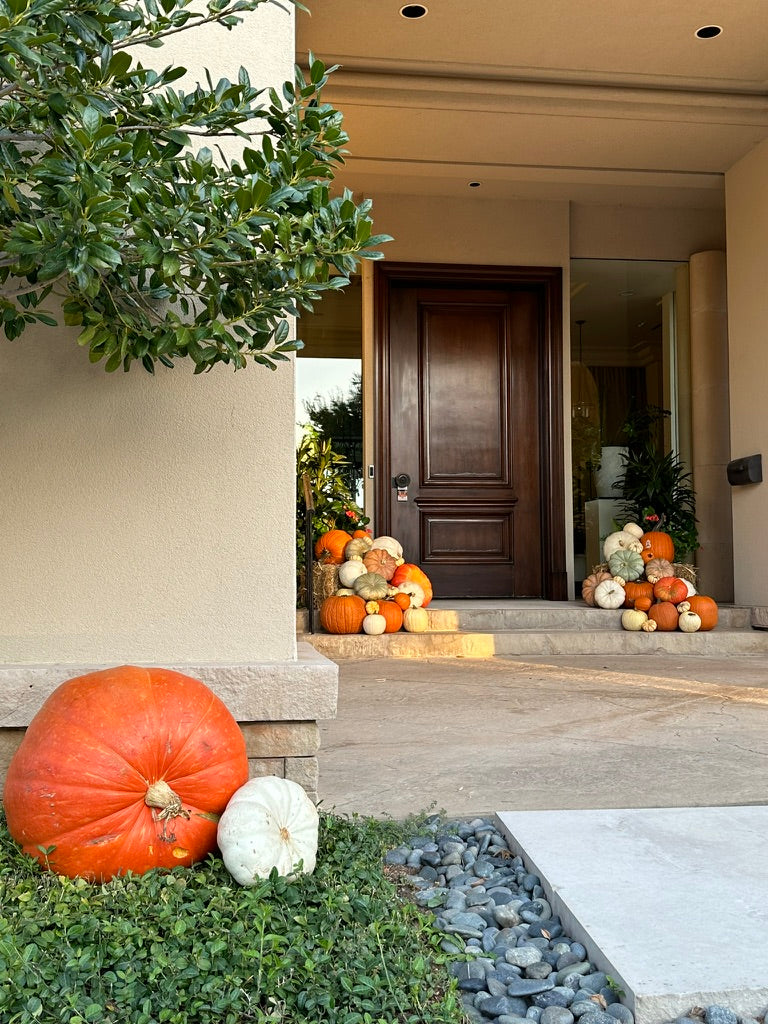 Jumbo Pumpkin (1)