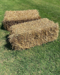 Large Straw Hay Bale (1)
