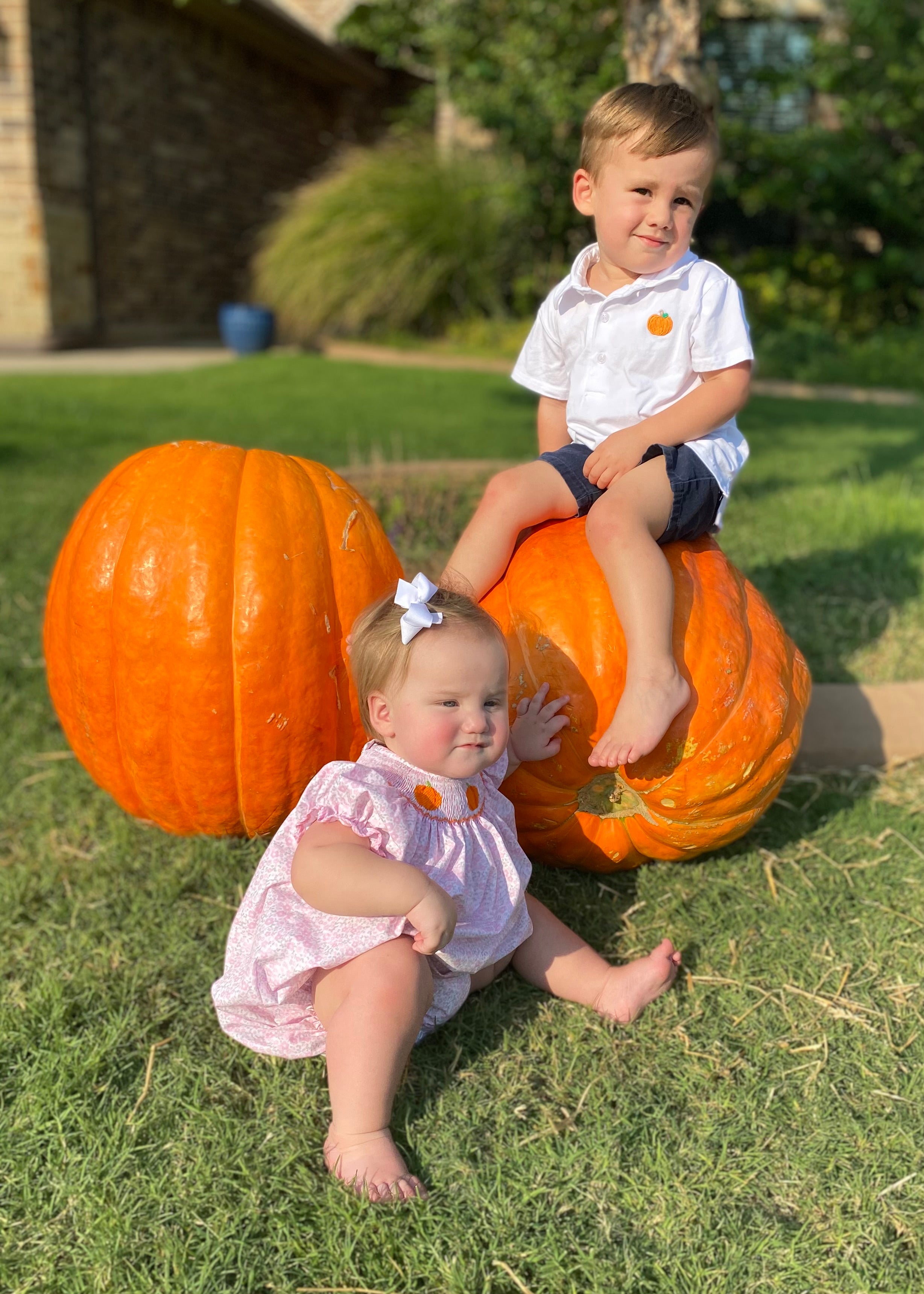 Jumbo Pumpkin (1)